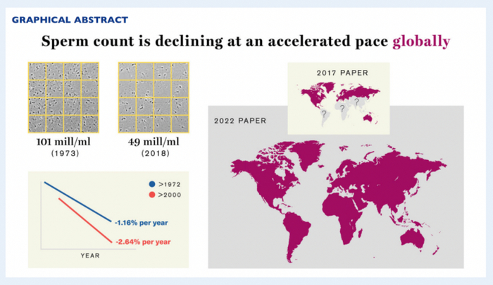 哈盖·莱文团队研究的1973年至2018年人类精子数量趋势图。图源《人类生殖更新》期刊