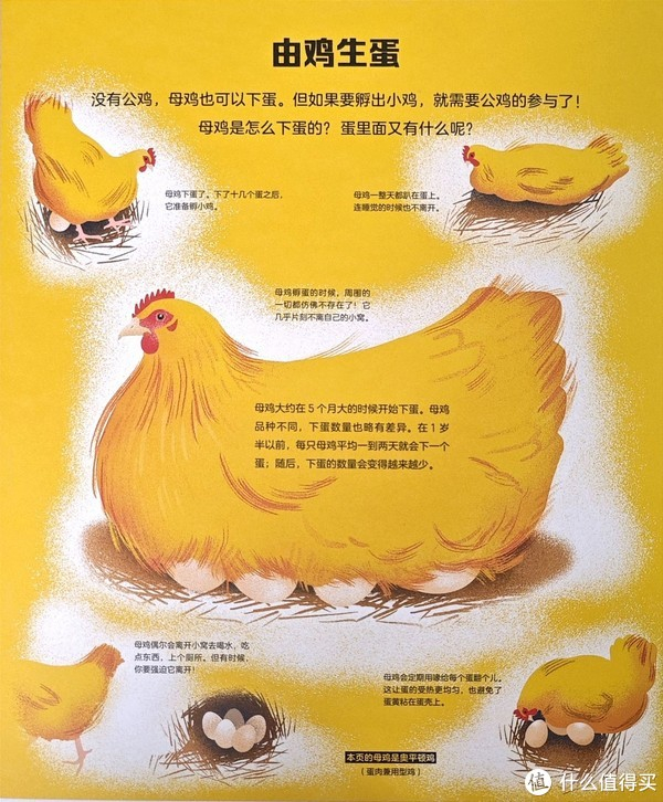 两岁宝宝小鸡鸡红肿怎么办