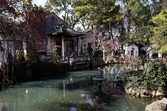 园中一景&nbsp; &nbsp;田建新 图