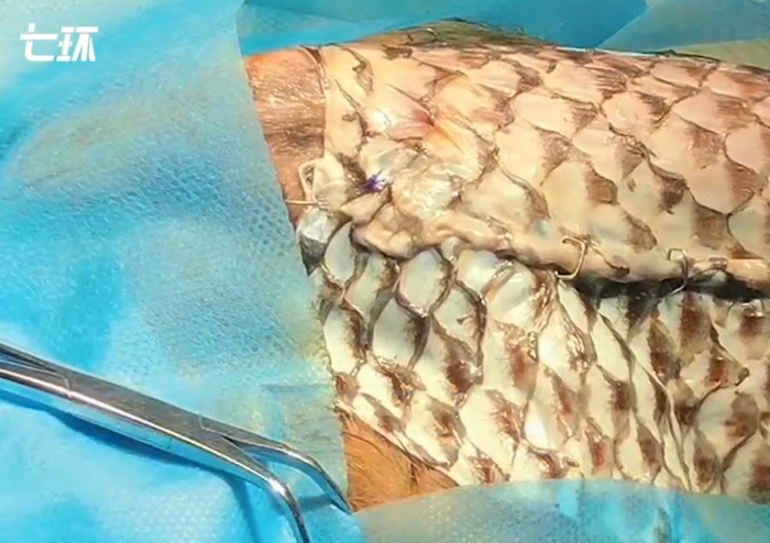 图源：澎湃新闻