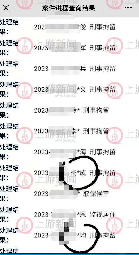 案件查询结果显示，杨某成等30多人已经被刑拘。图源：上游新闻