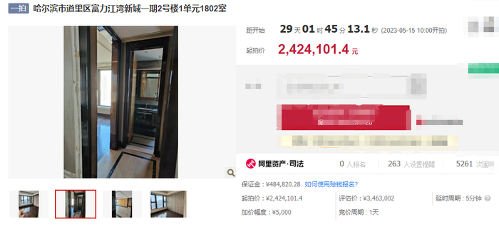 图片来源：阿里拍卖