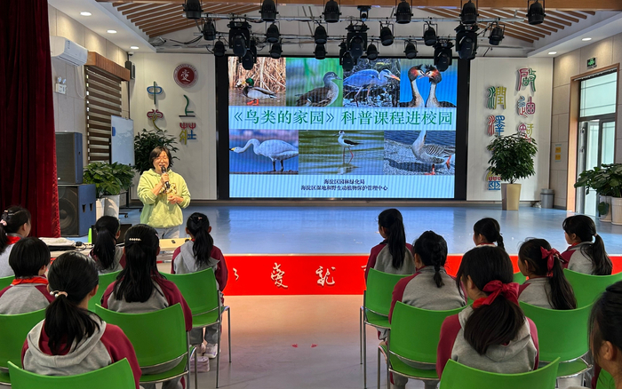 《鸟类的家园》科普课程现场。新京报记者 彭镜陶 摄