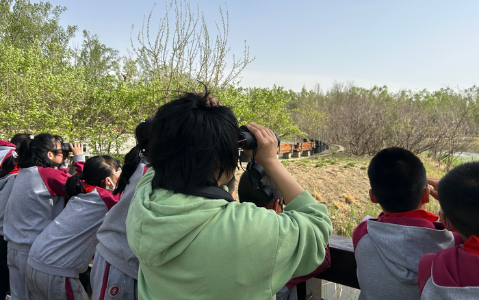 徐晓梅老师正在带学生们观鸟。新京报记者 彭镜陶 摄