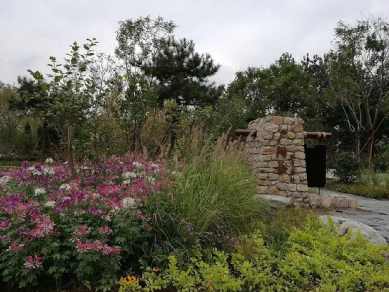 西城区广阳谷城市森林景观（记者张煜 拍摄）