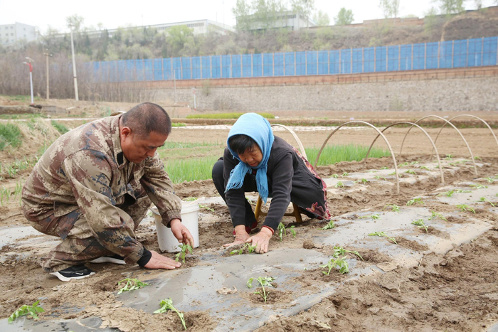 ▲深入田间地头为农户提供技术指导
