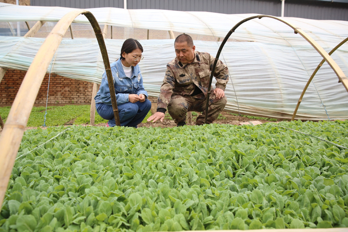 ▲作为一名农业专家，聂利胜常年工作在田间地头