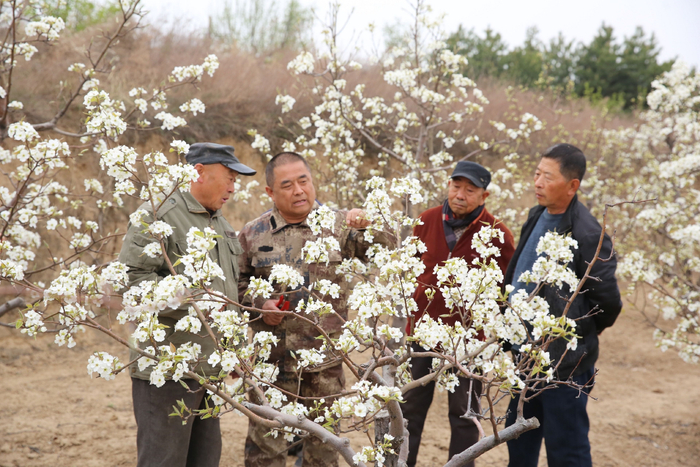 ▲为乡村振兴、农民增产增收提供技术支持