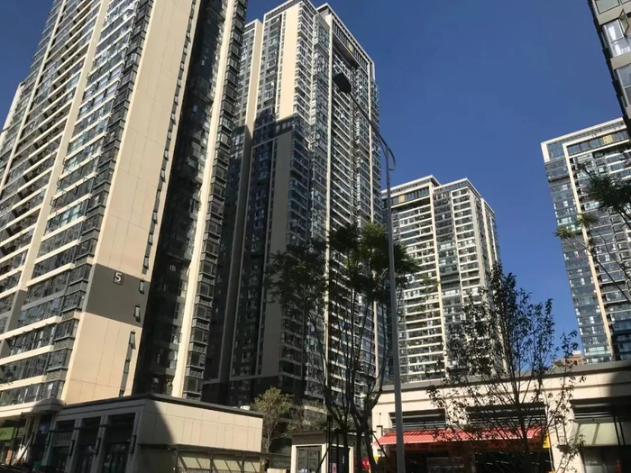 龙泉俊园项目实拍图