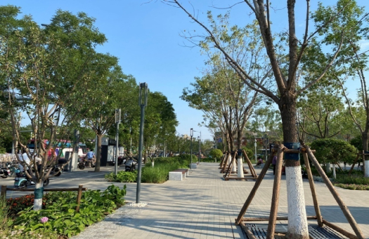 平安里地铁站西北口的口袋公园树阵广场（记者张煜 拍摄）