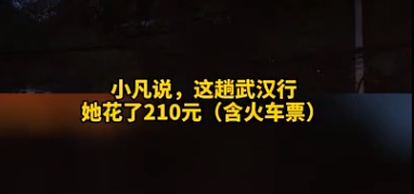 当然最重要的还有省钱，比如武汉一日游仅需210元/图源抖音