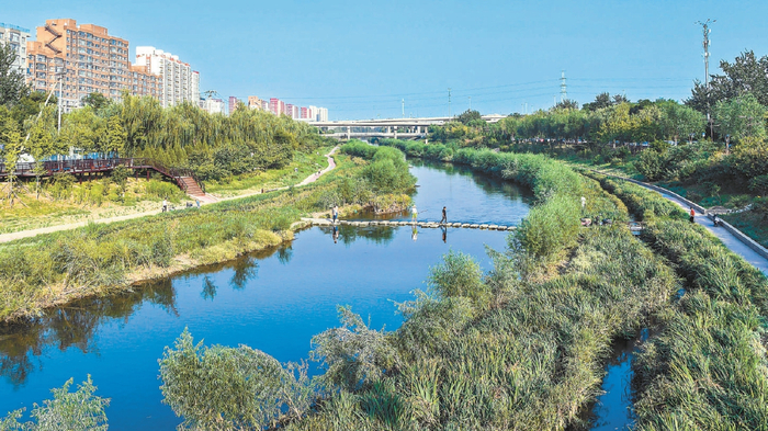 凉水河光彩桥段，河道内增设人工岛和小支流，栽种滩地植物，构建自然湿地河流，生机勃勃，野趣盎然。（资料图）本报记者 邓伟摄