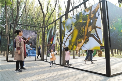 4月18日，2023年第三届北京森林城市艺术节暨第五届将府公园森林影像艺术季正式开幕。新京报记者 王飞 摄