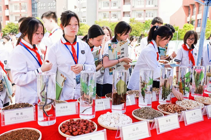 同学们在辨识“桂十味”中药材