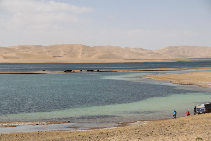 林科院荒漠化研究所科研团队考察世界最高海拔沙漠库木库里沙漠。受访者供图&nbsp;