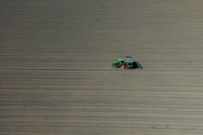 当地时间4月15日，西班牙赫雷斯-德拉弗龙特拉，一辆拖拉机和农民在田里作业。