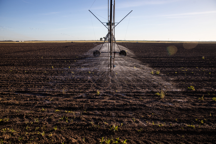 当地时间4月15日，西班牙赫雷斯-德拉弗龙特拉，由于该地区降雨量较低，一个线性灌溉系统正在灌溉农民的作物。