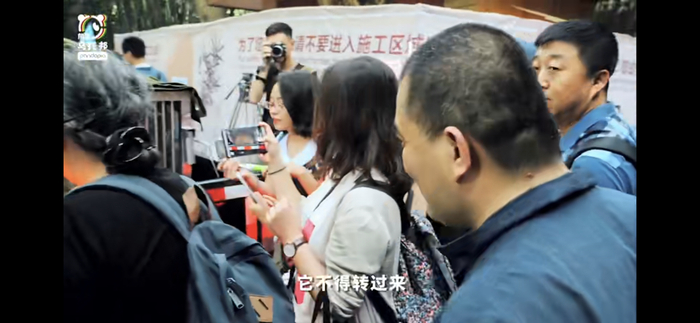 “谭爷爷”跟七巧告别。 网页截图