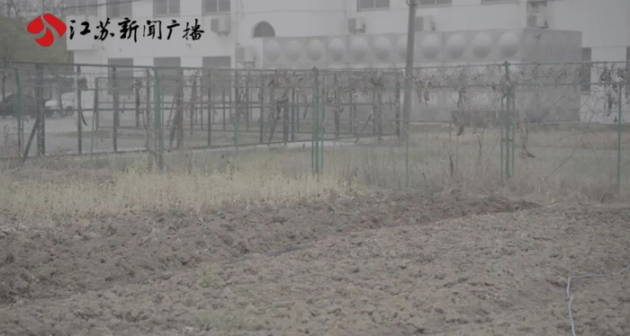 篱笆上挂了一些没摘的瓜果