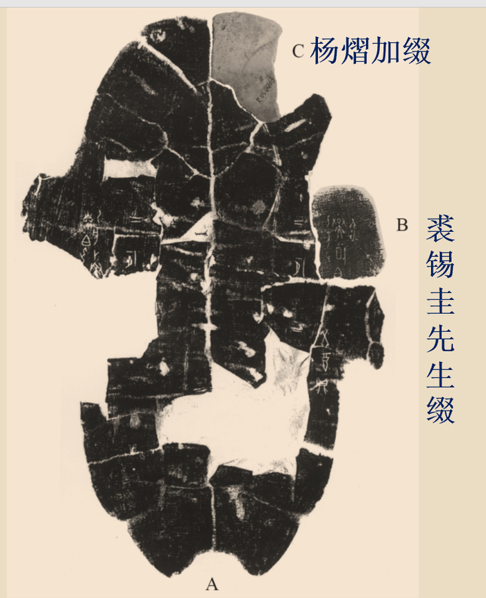 中心团队接力开展缀合工作