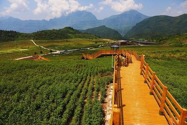 五通桥区金粟镇双漩村市中区:苏稽镇程土扁村,水口镇龙窝村水口镇龙窝