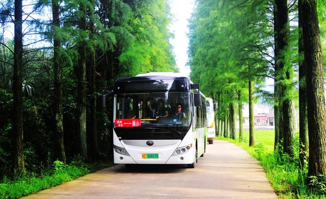 在樟树市，所有公交车票价均为一元。樟树市交通运输局 供图