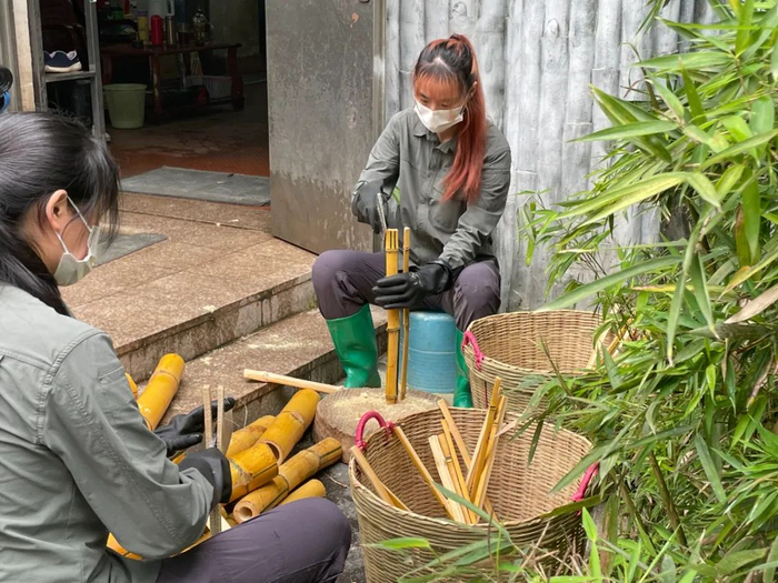 大熊猫的咬合力很强，但直接啃竹子还是容易造成对它牙齿和口腔黏膜的磨损。/牧羊 摄