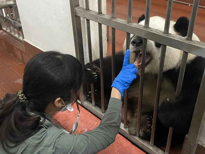 “啊——”。/牧羊 摄