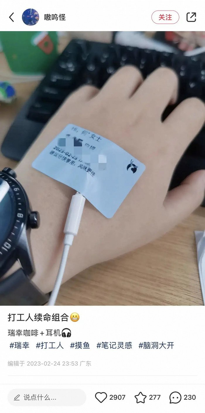 图片来源：小红书@嗷呜怪