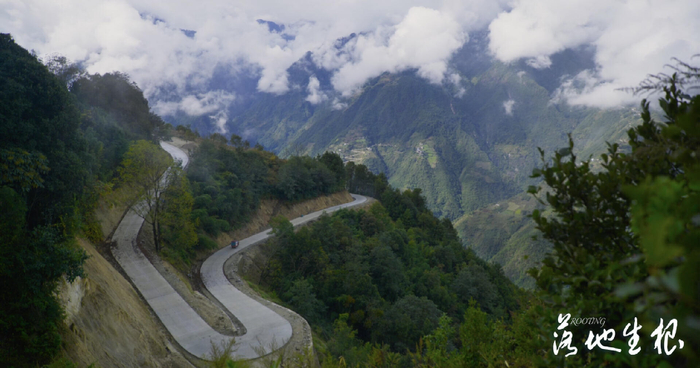 《落地生根》剧照