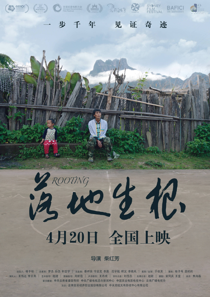 《落地生根》海报