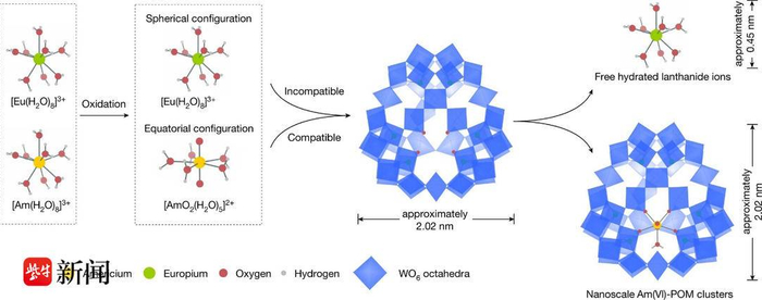 新型镧锕分离示意图