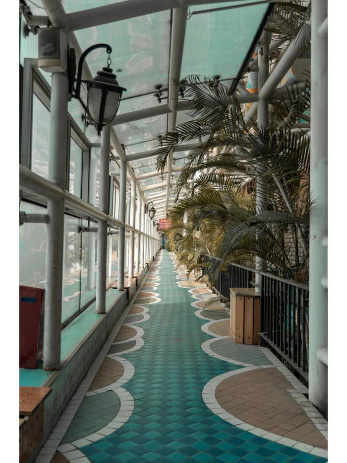 ▲“空中花园”内景。