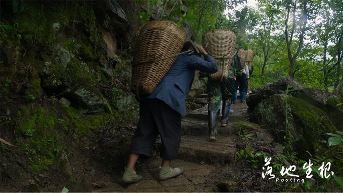 《落地生根》剧照