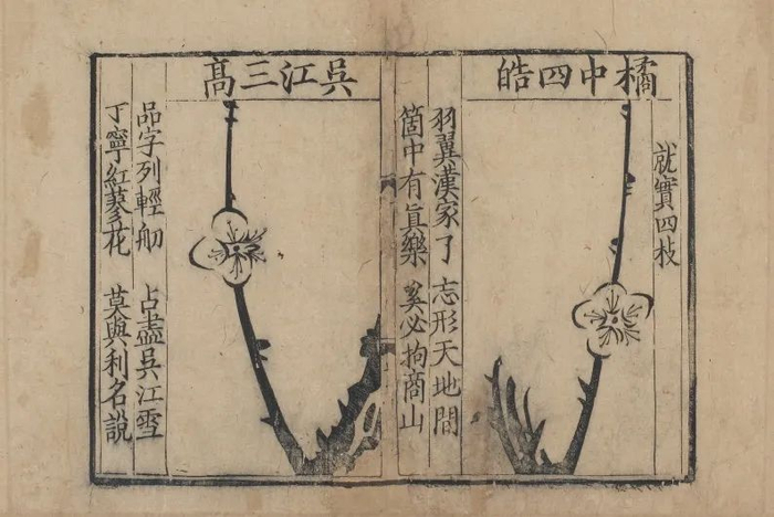 《梅花喜神谱》（宋）宋伯仁辑 南宋景定二年（1261）金华双桂堂刻本