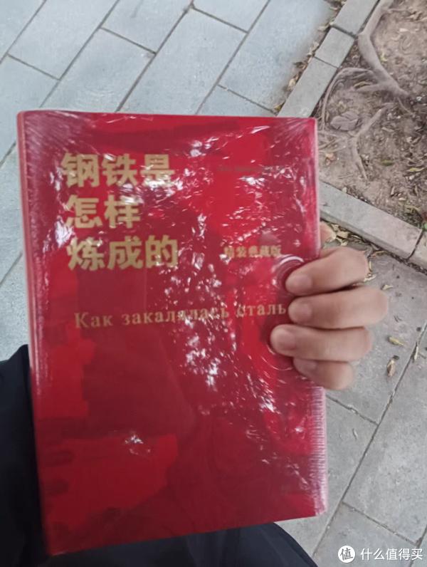 《钢铁是怎样炼成的》-钢铁是怎样炼成的经典语句