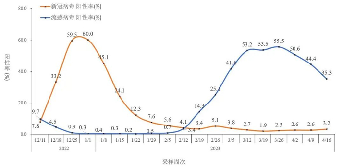 图2-5全国哨点医院流感样病例新冠和流感病毒阳性率变化趋势