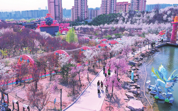 太原玉泉山景区内各品种的樱花迎风绽放，吸引游客拍照。本报记者王昕摄