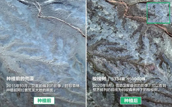 卫星拍摄蚂蚁森林种植前后对比