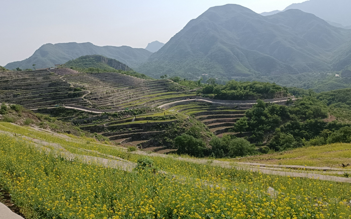 层层叠叠的梯田，随着山势蜿蜒起伏。受访者供图