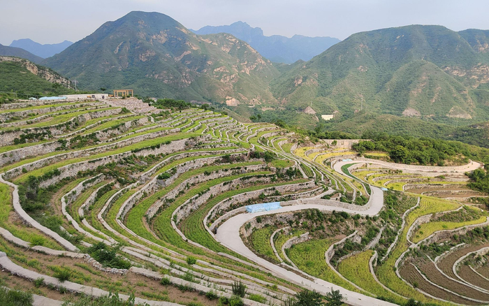 苇子水村，依山而建的梯田。受访者供图