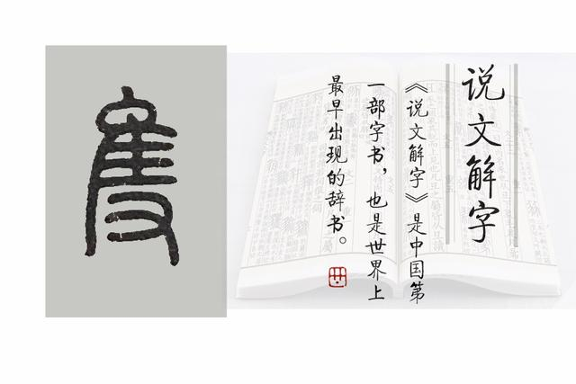 《说文解字》第701课:一只的“只”,繁体“隻”为啥有只鸟?|玉篇·隹部|小篆|本义|金文|字形_新浪新闻
