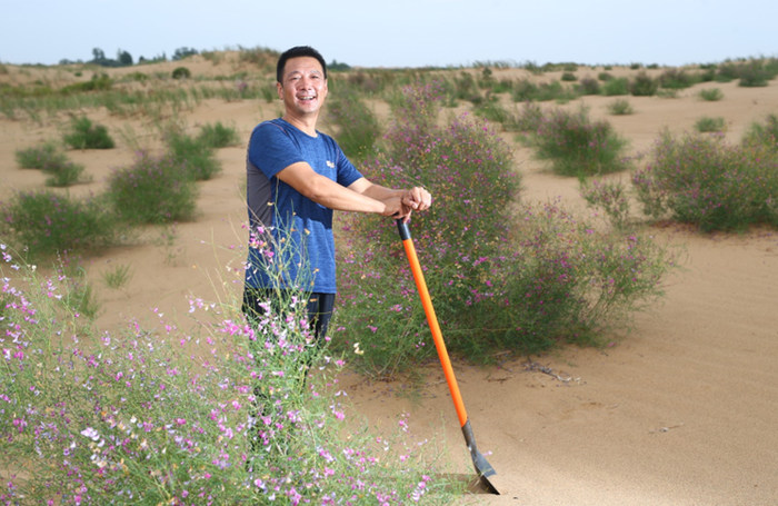 内蒙古花棒种植户梁存新