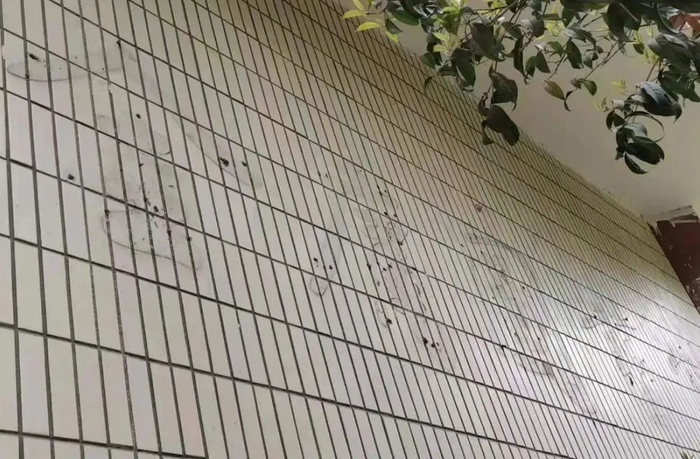 金庸图书馆几个大字已经不见