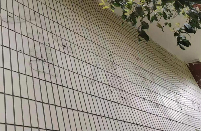 ▲金庸图书馆几个大字已经不见。图片来源 微博大V“读金”