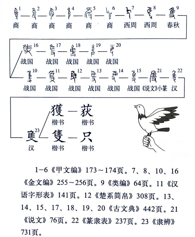 《说文解字》第701课:一只的“只”,繁体“隻”为啥有只鸟?|玉篇·隹部|小篆|本义|金文|字形_新浪新闻
