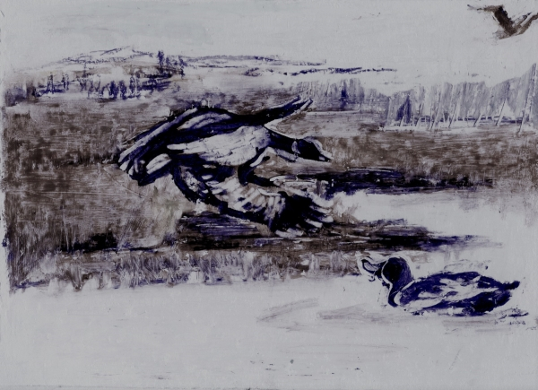 师母周碧珊的插图。上面的鸟看到下面有它们的同类，便以为是安全的地方，它们一个个飞下来。——《诱鸭》