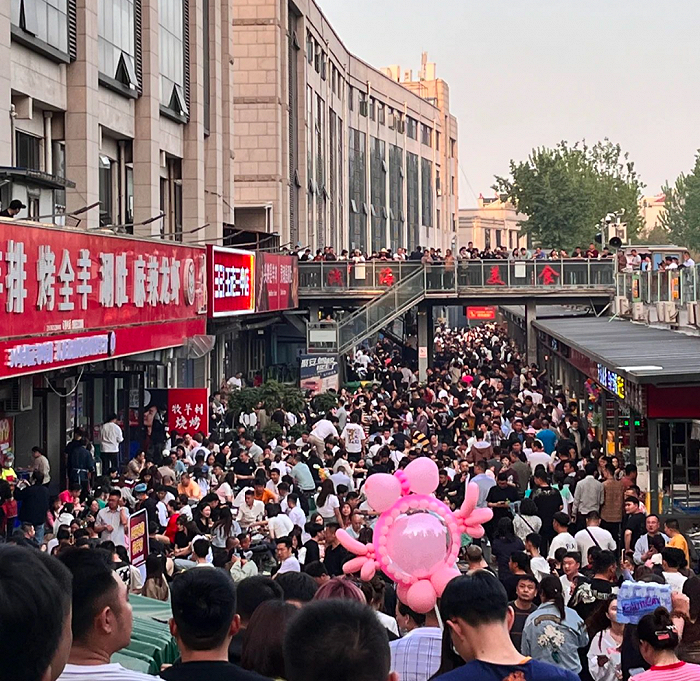 ▲牧羊村无处下脚。图 / 每日人物摄