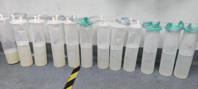 供图：沧州市中心医院 