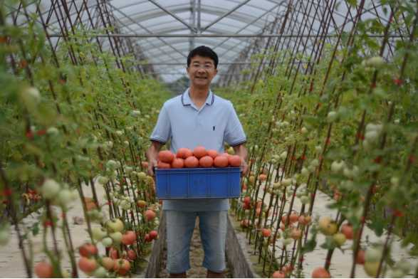 图注：陈斌展示有机农场产出的农产品。